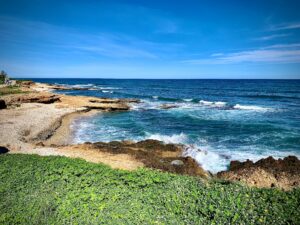 Nova edició del D*na Festival Dénia 2025: inspiració gastronòmica per al canal horeca valencià