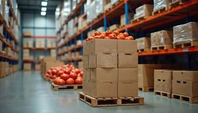 Claves de Disbell para fallas